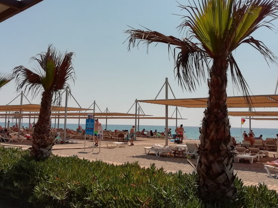 Strand Calimera Serra Palace