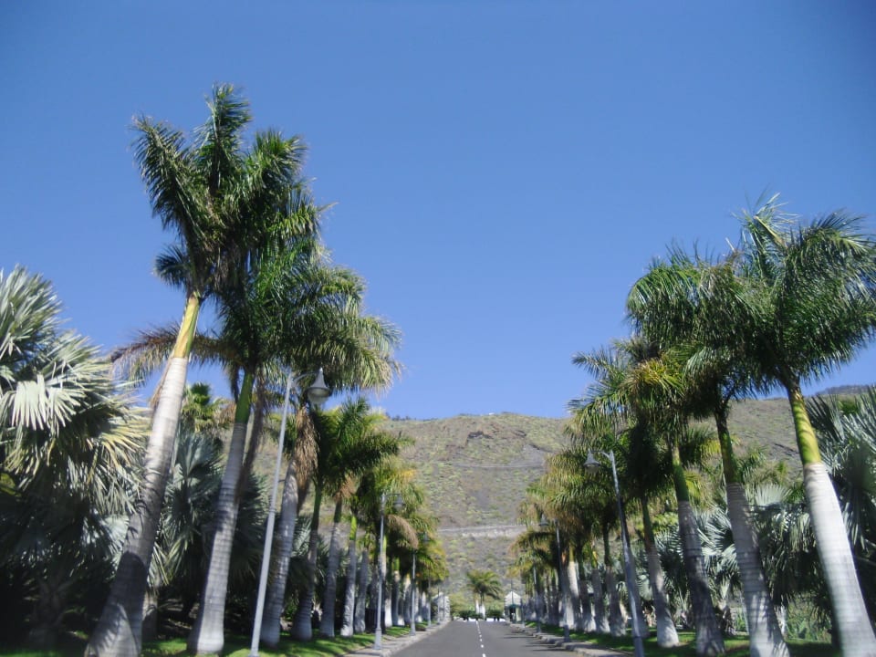 Die Zufahrt zum Teneguia Princess La Palma Princess