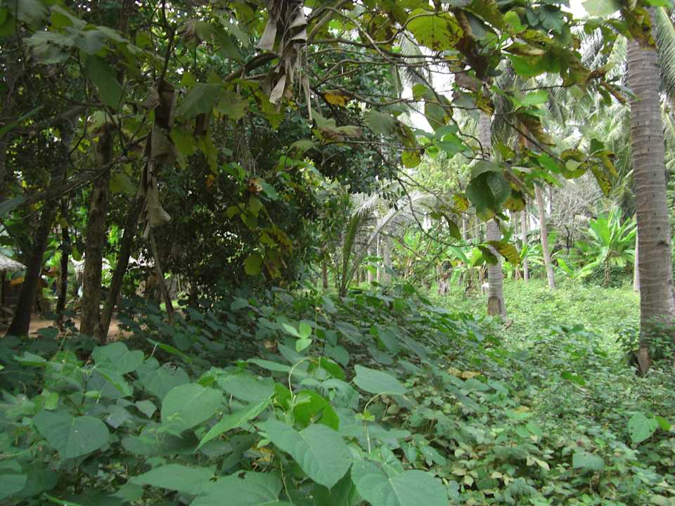 Garten Homestay Pondok Bintang Karimunjawa