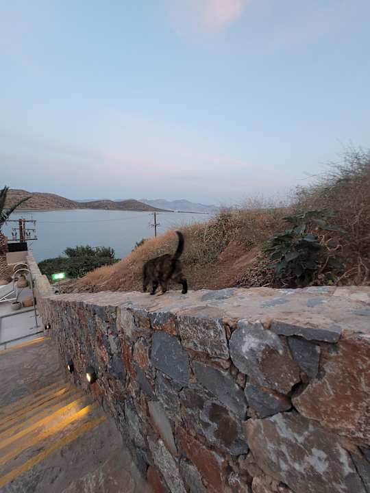 Sonstiges Domes Aulus Elounda All-Inclusive Resort, Curio Collection by Hilton