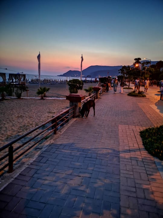 Strand Gardenia Hotel