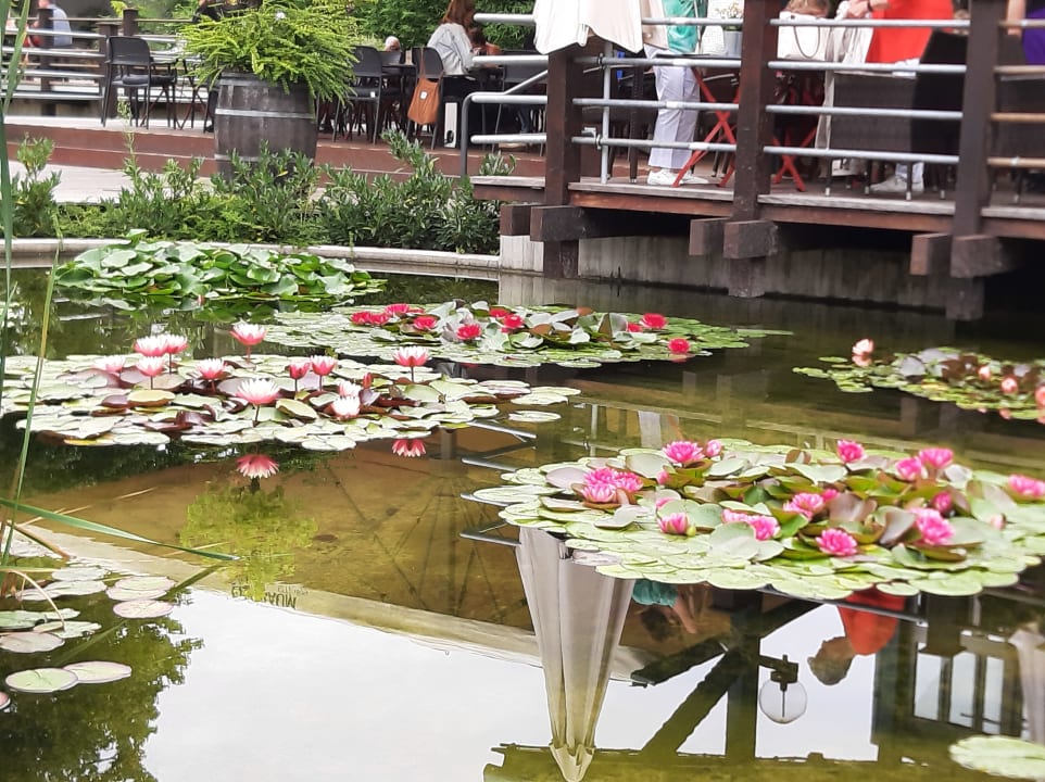 Gartenanlage IntercityHotel Mannheim