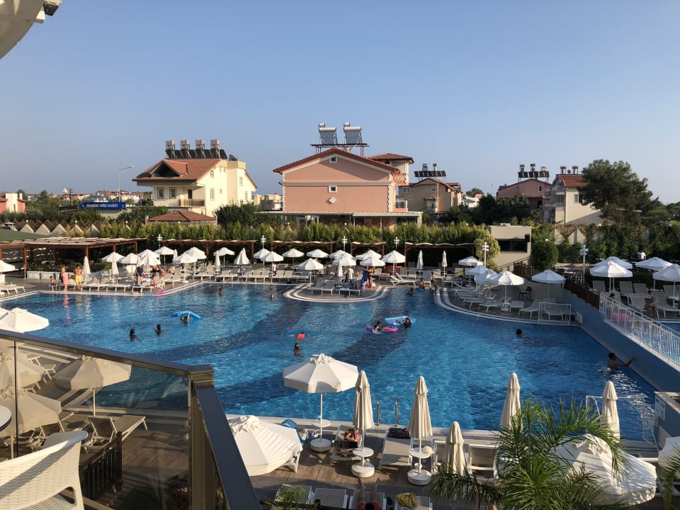 Ausblick Seashell Vega