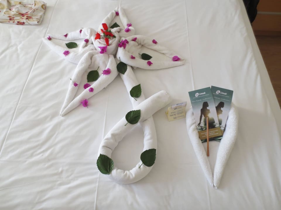 Room Art Limak Limra Hotel & Resort