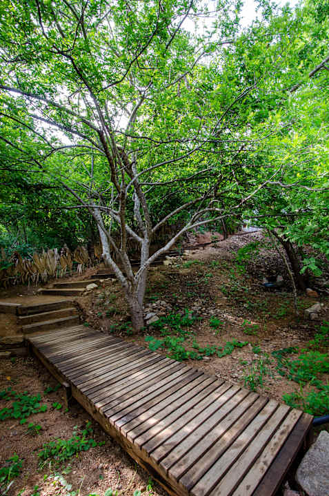 Gartenanlage Cocolia Hotel