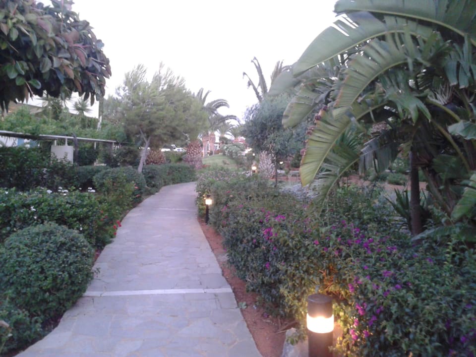 Wege Lyttos Beach Hotel