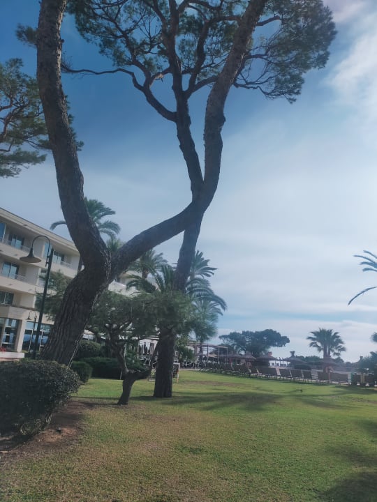 Gartenanlage Grupotel Natura Playa