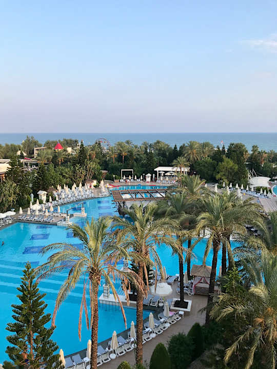 Pool Hotel Delphin Diva