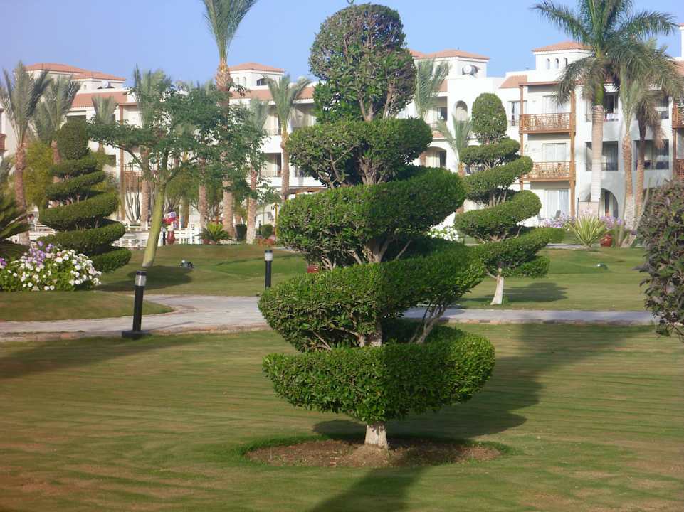 Schön gepflegt Pickalbatros Dana Beach Resort - Hurghada