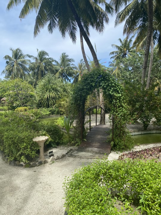 Gartenanlage Adaaran Select Meedhupparu Island Resort - Premium All Inclusive