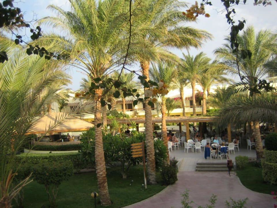 In der Hotelanlage Palm Beach Resort