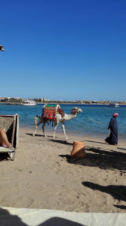 Jaz Aquaviva Jaz Aquaviva