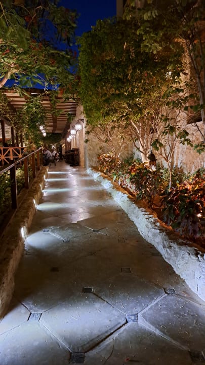 Gartenanlage Makadi Spa - Adults only