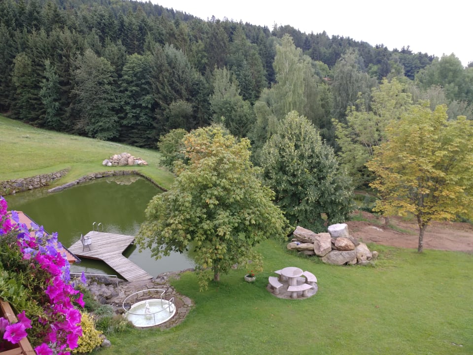 Pool Landhotel Weingarten