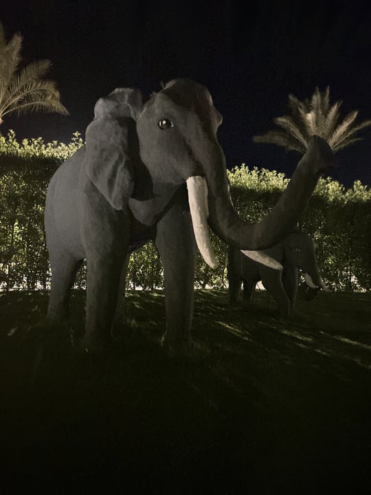 Gartenanlage Hotel JAZ Makadi Star & Spa