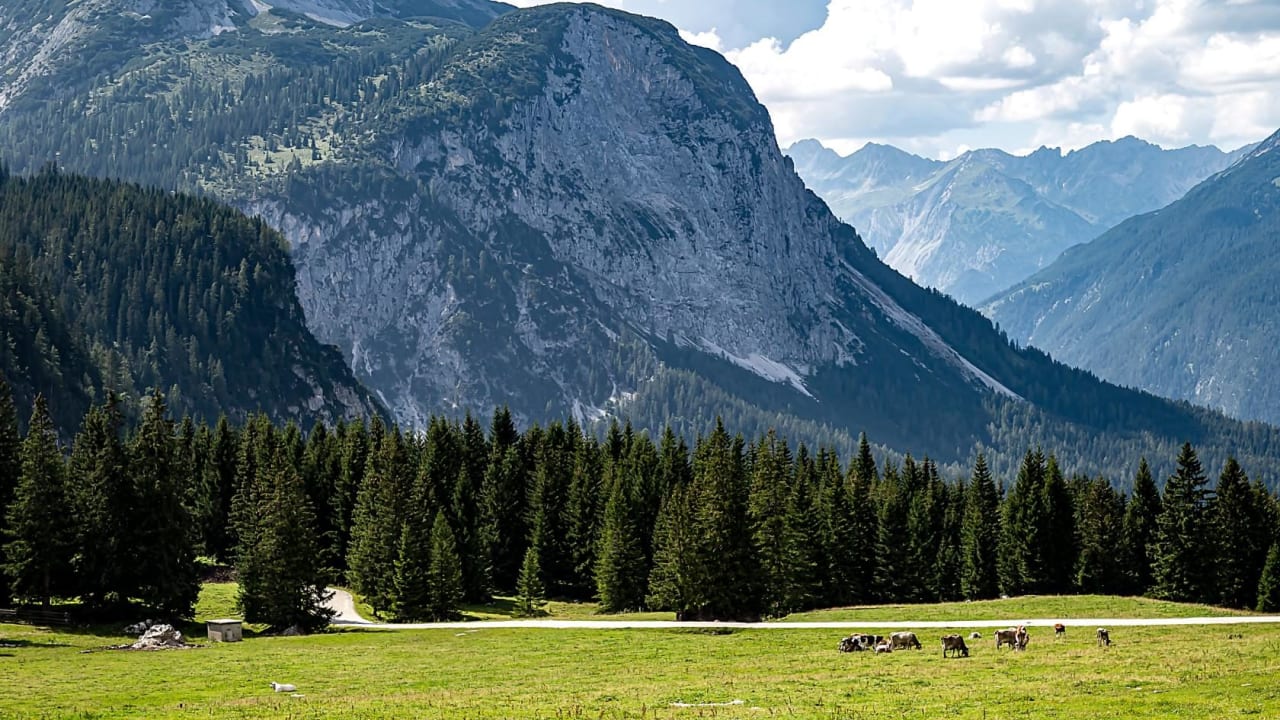 Ausblick Hotel Feneberg