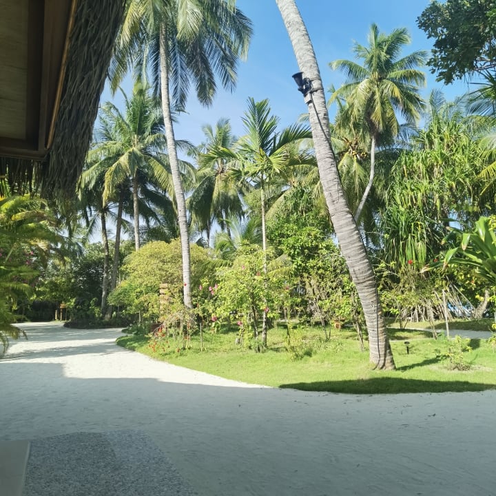 Ausblick Kuramathi Maldives