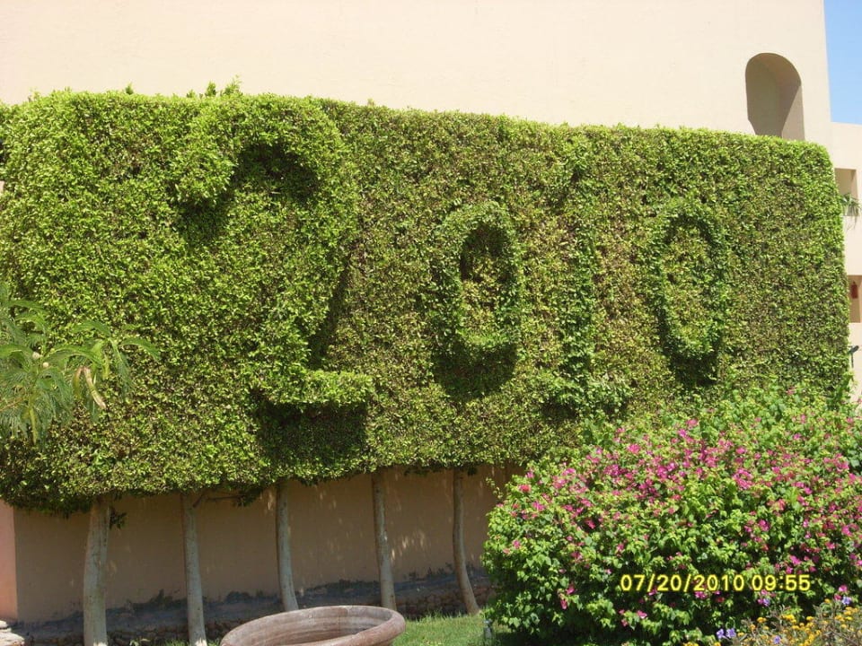 2010 Ali Baba Palace Hotel