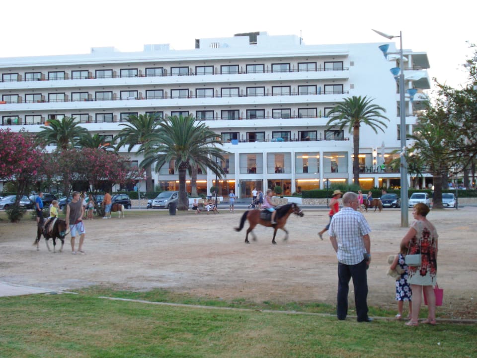Gegenüber Pony-Reiten für Kinder allsun Hotel Bahia del Este