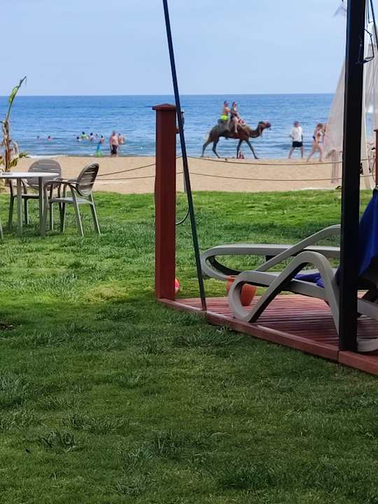 Strand VONRESORT Golden Coast