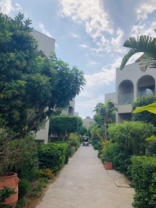 Gartenanlage Atlantica Aegean Blue