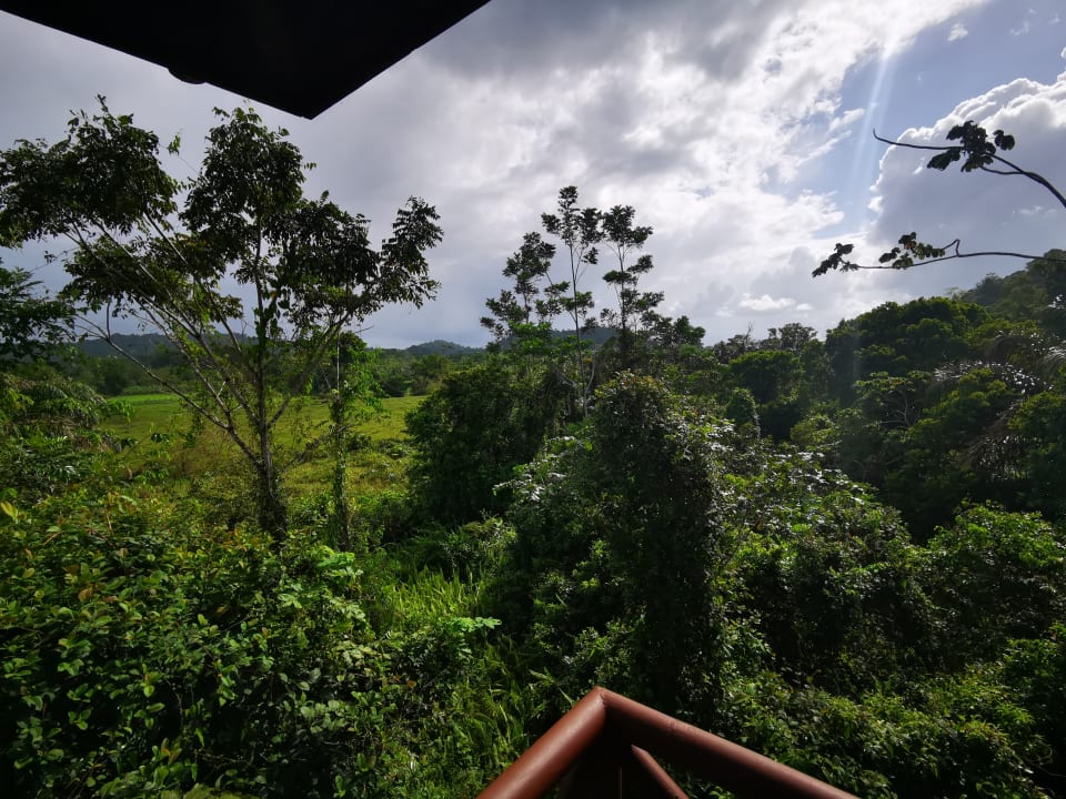 Ausblick Maquenque Eco-Lodge