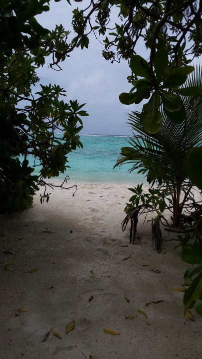 Strand Summer Island Maldives