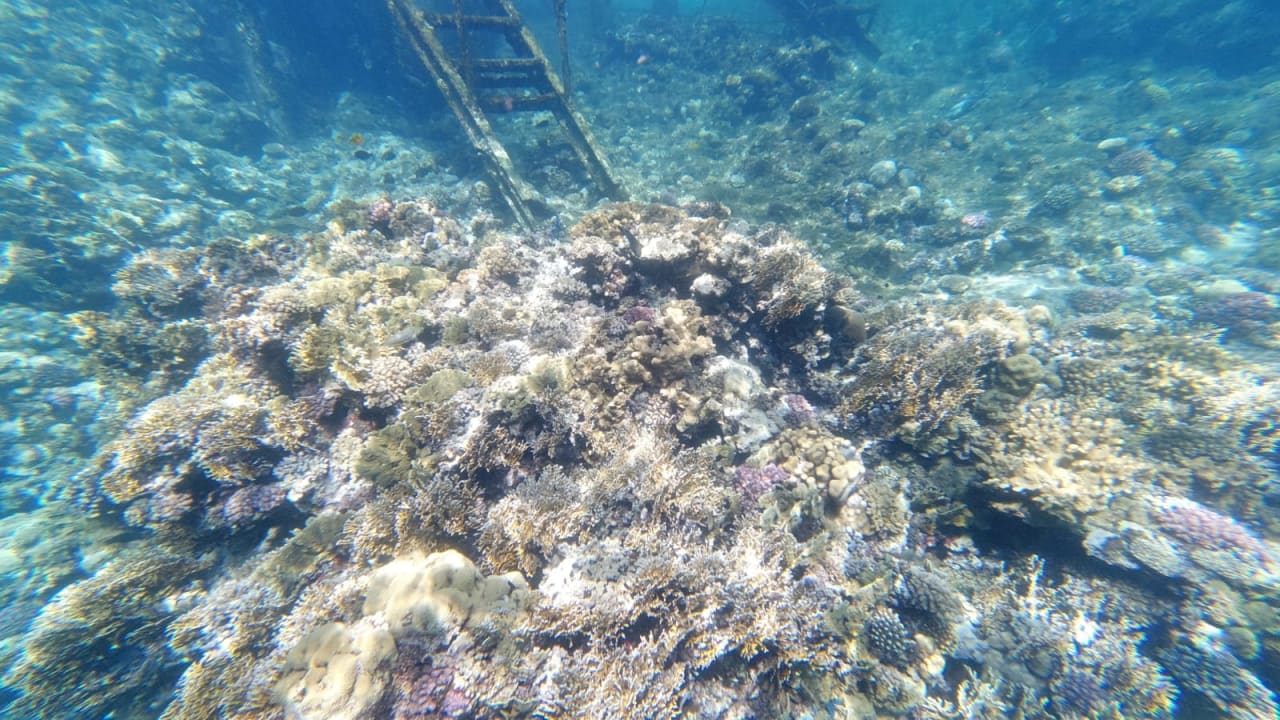 Sport & Freizeit Three Corners Sea Beach Resort