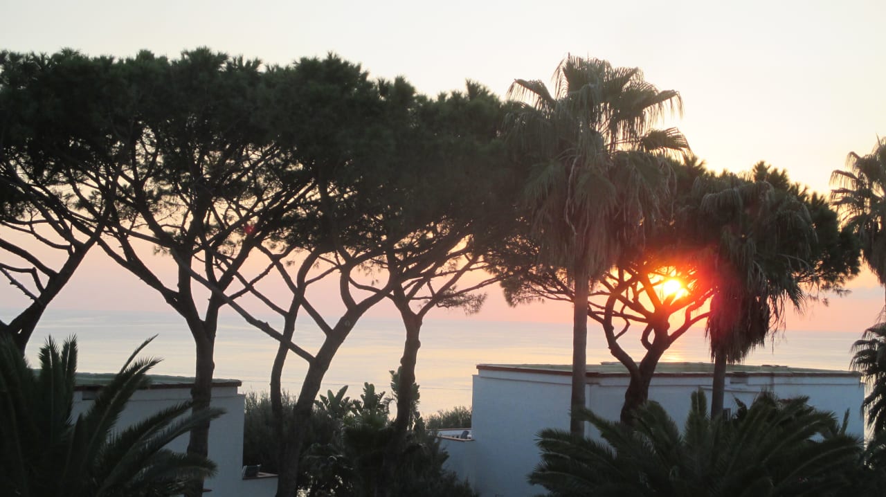 Gartenanlage Hotel Terme Royal Palm