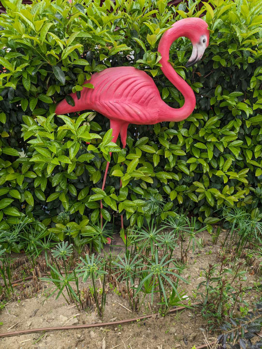 Gartenanlage Belek Beach Resort Hotel