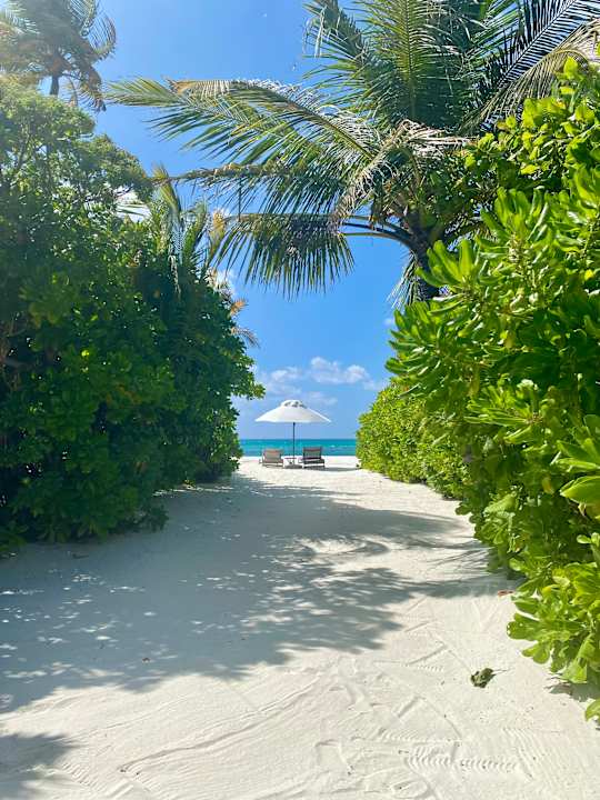 Zimmer Jawakara Islands Maldives