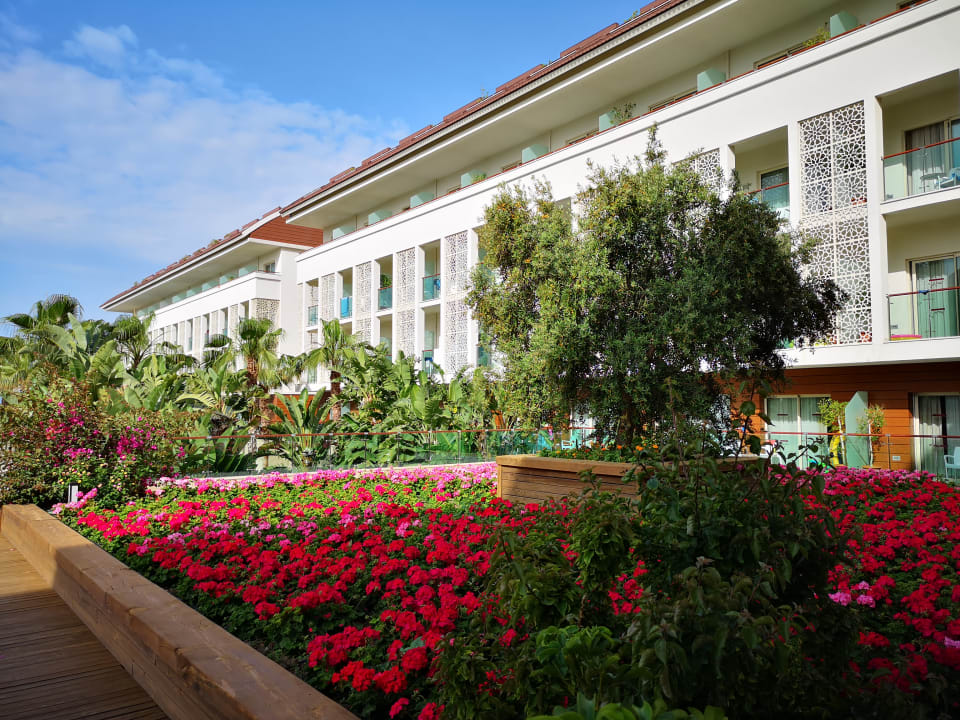 Gartenanlage Sentido Trendy Verbena Beach