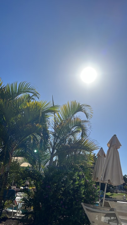 Ausblick Alua Suites Fuerteventura