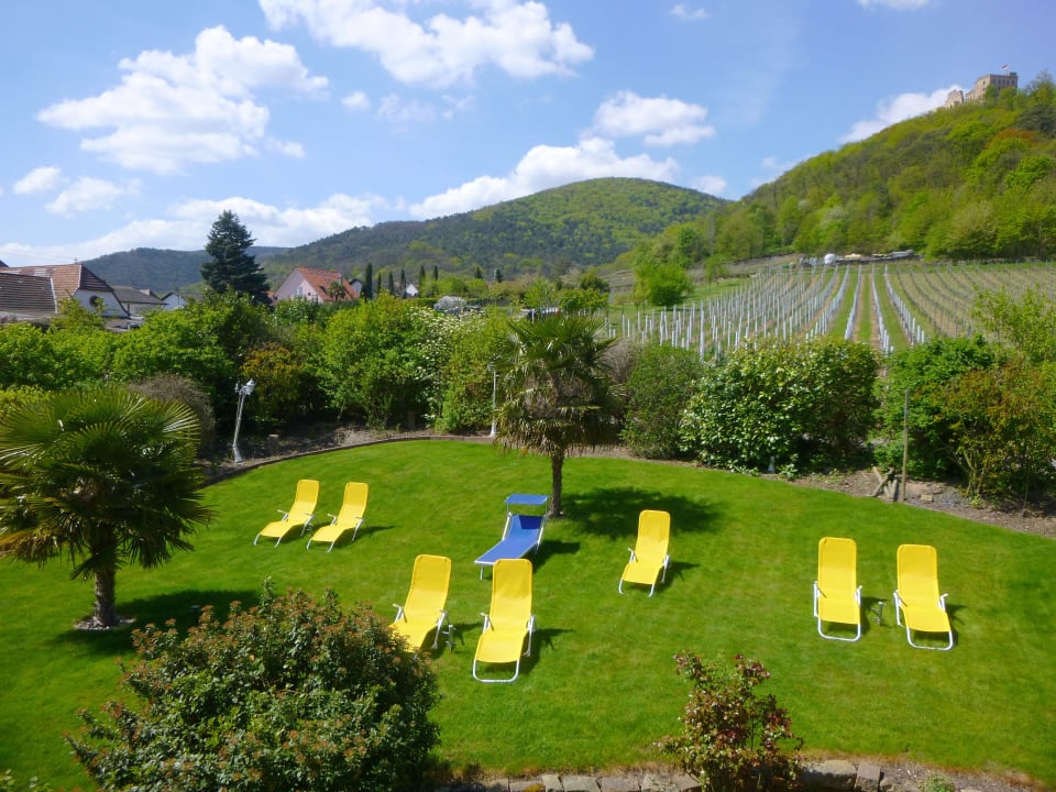 "Gartenanlage Mit Palmen" Gästehaus Weingut Helbighof (Neustadt An Der ...