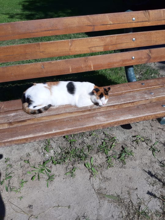 Sonstiges Caravia Beach Hotel