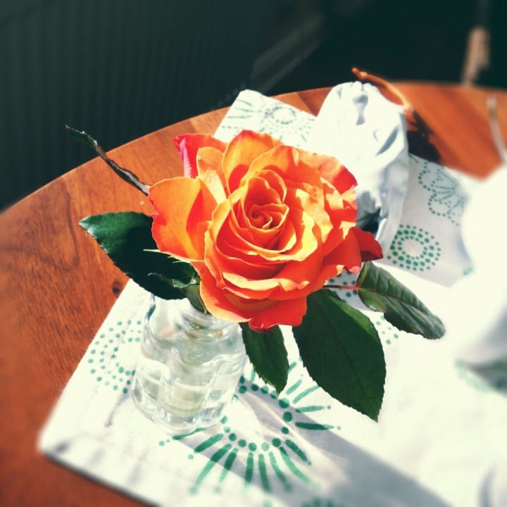 Frische Blumen, schöne Tischdeko Haus am Meer