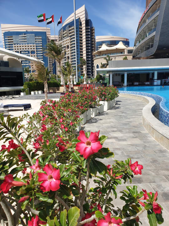 Gartenanlage Conrad Abu Dhabi Etihad Towers