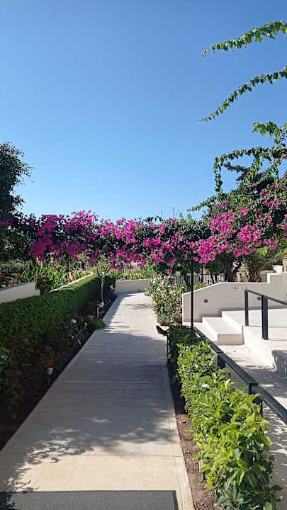 Gartenanlage Anissa Beach & Village