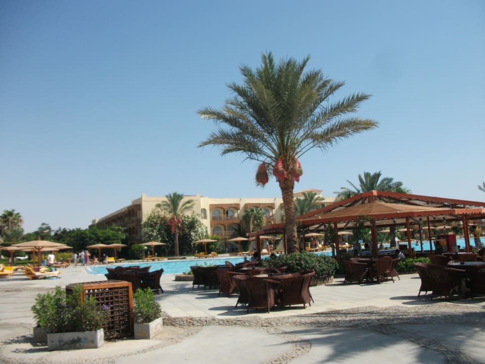 Hotelgarten Desert Rose