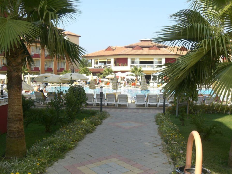 Blick auf den Pool Hotel Orfeus Park