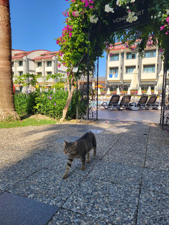 Gartenanlage VONRESORT Golden Coast