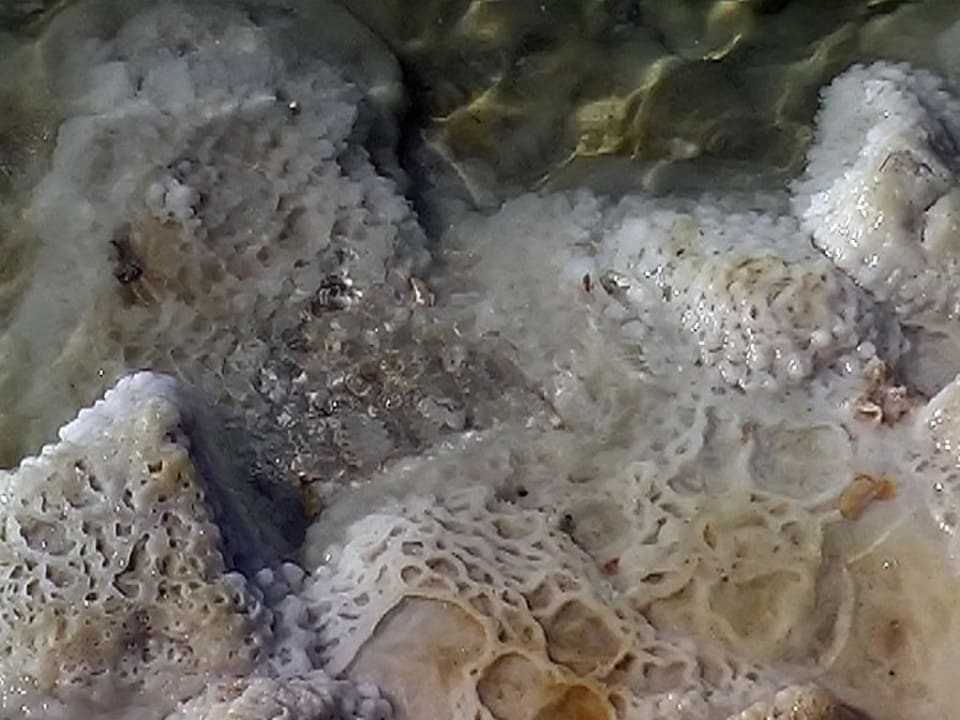 Plaża przy hotelu Royal Hotel Dead Sea