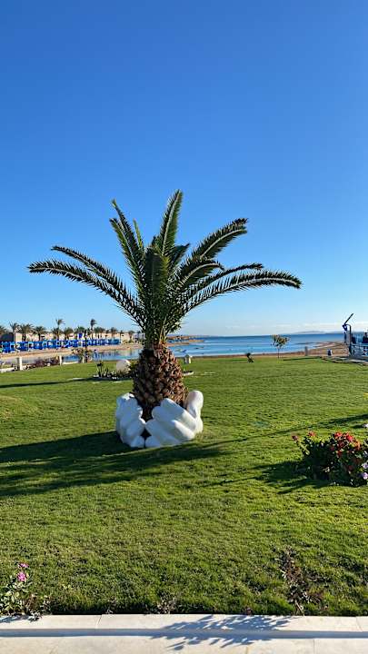 Gartenanlage Gravity Hotel & Aqua Park Hurghada