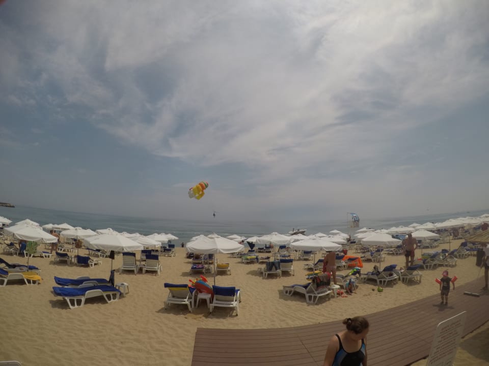 Strand Sentido Marea