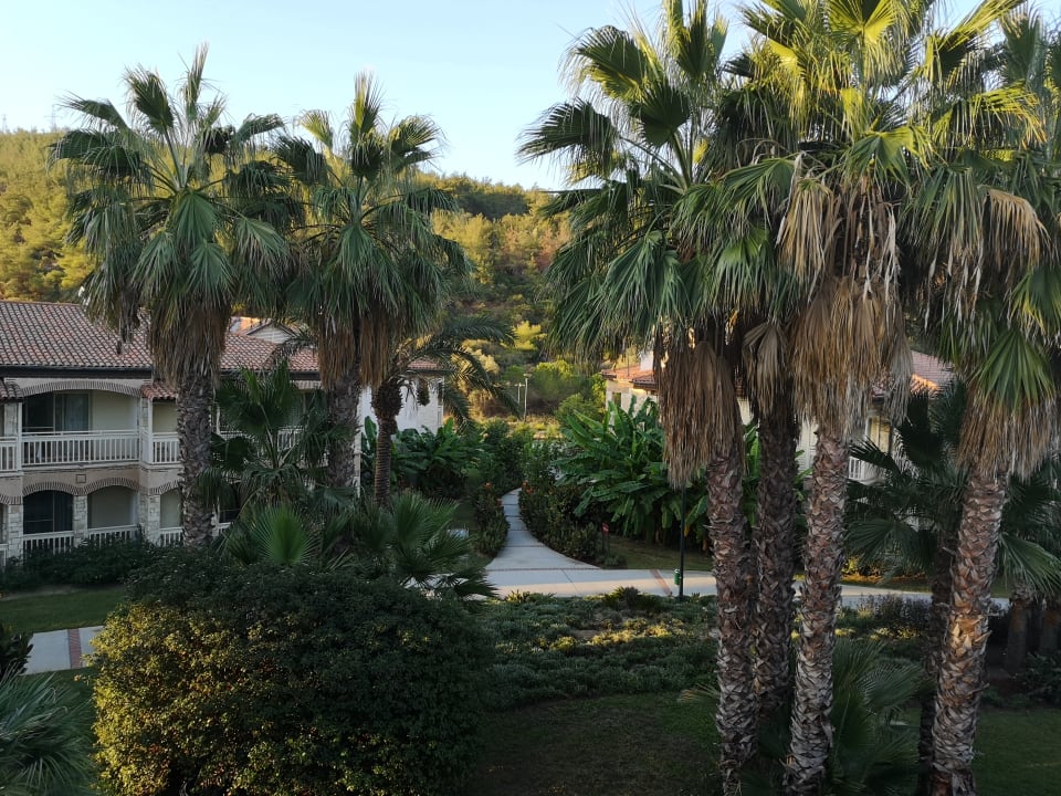 Ausblick TUI BLUE Ephesus