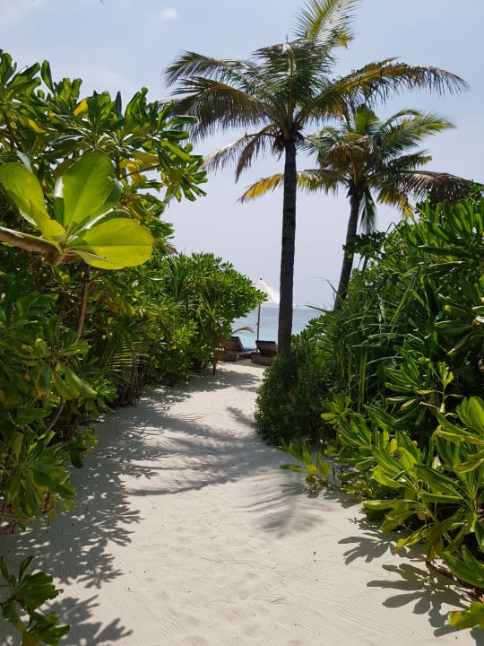 Gartenanlage Kuredhivaru Resort and Spa, Maldives