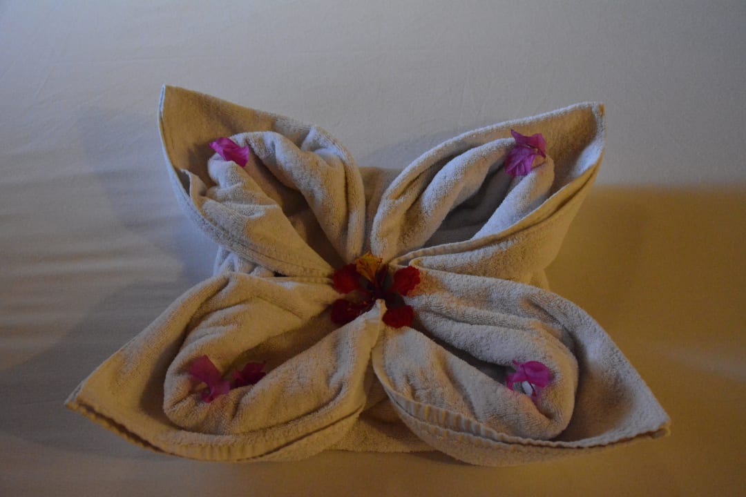 Zimmer 3137 Jaz Makadi Oasis Resort