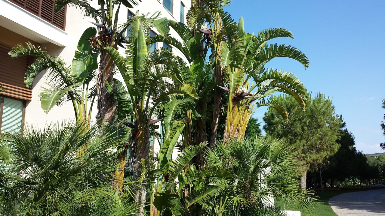 Wunderschöne Bepflanzung Voyage Belek Golf & Spa