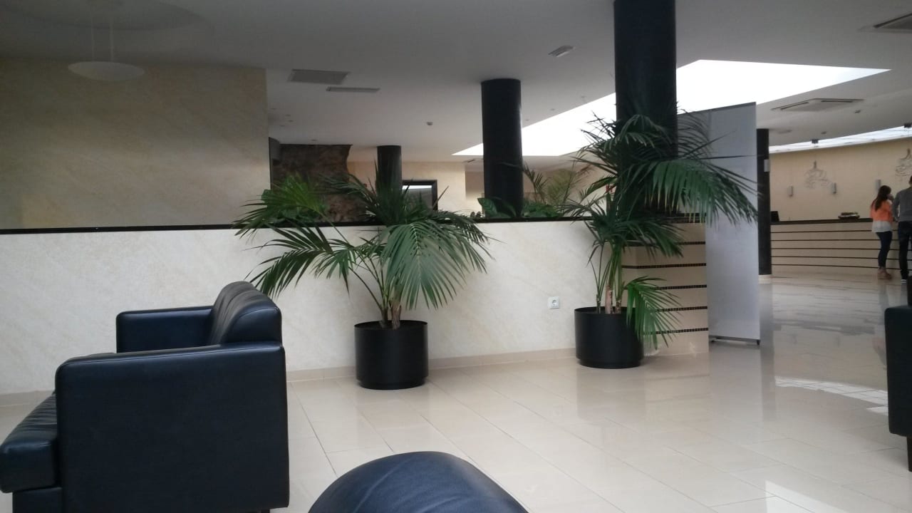 Lobby allsun App.-Hotel Albatros