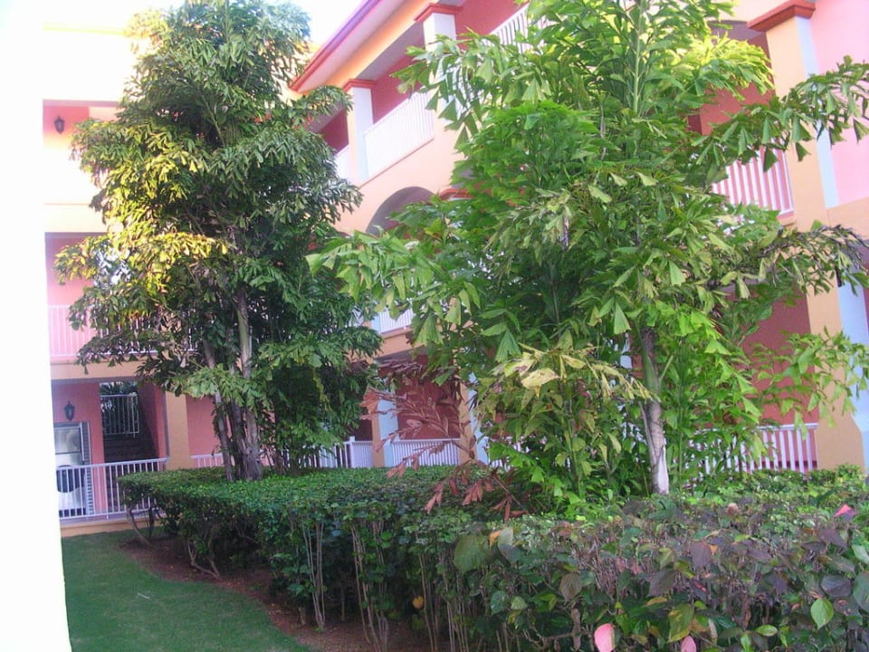 Die Zimmerflure Hotel Riu Yucatan
